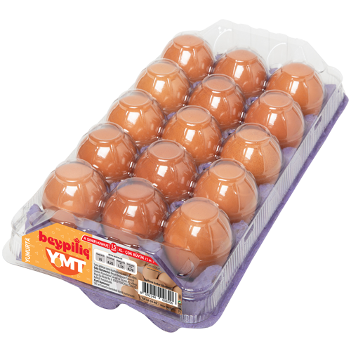 15 Brown XL Eggs with Covers