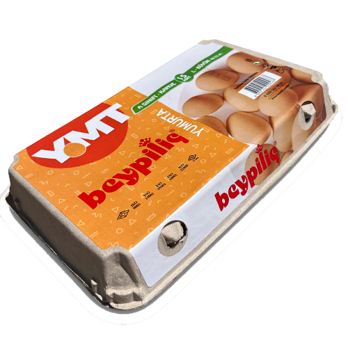 15 Brown L Eggs Boxed